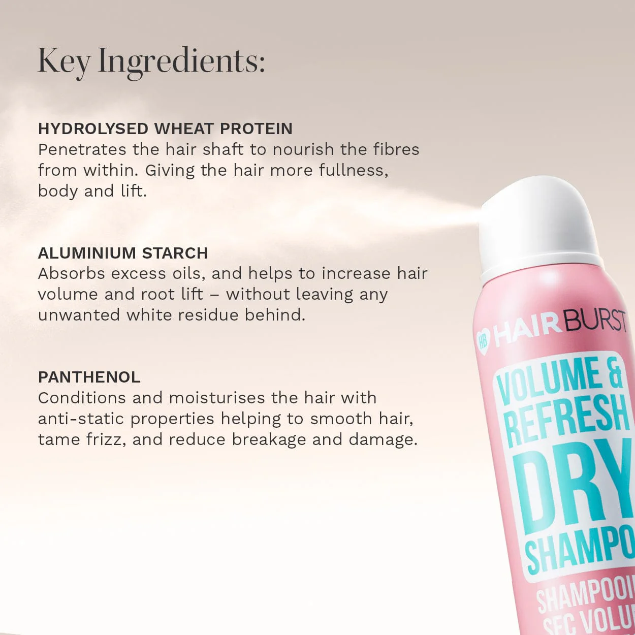 Volume & Refresh Dry Shampoo - Image 3