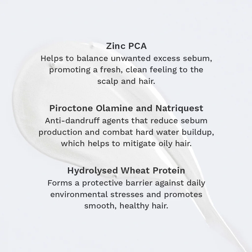 Conditioner for Oily Scalp and Roots - Image 4